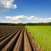 Agribusiness/Agricultural Business Operations Colleges