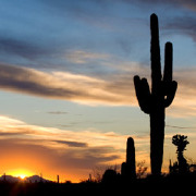 Colleges in Arizona