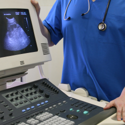 Diagnostic Medical Sonographers Diagnostic Medical Sonographers