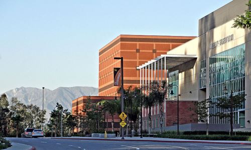 Bachelor In Nursing Programs In California